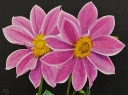 Flores 5